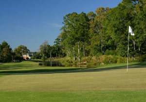 A photo of Shadowmoss Planation's beautiful golf course